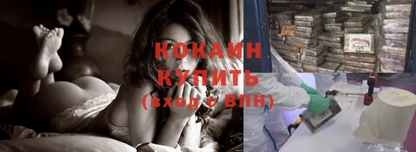МДПВ Елизово