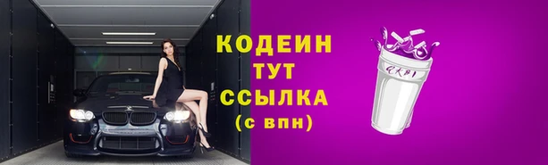 МДПВ Елизово