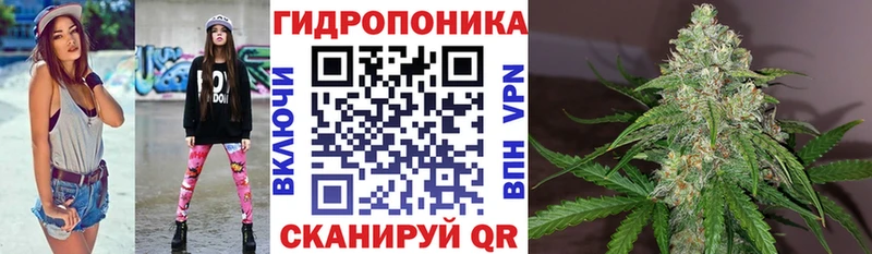 ссылка на мегу ONION  купить  цена  Щёлково  Канабис индика 